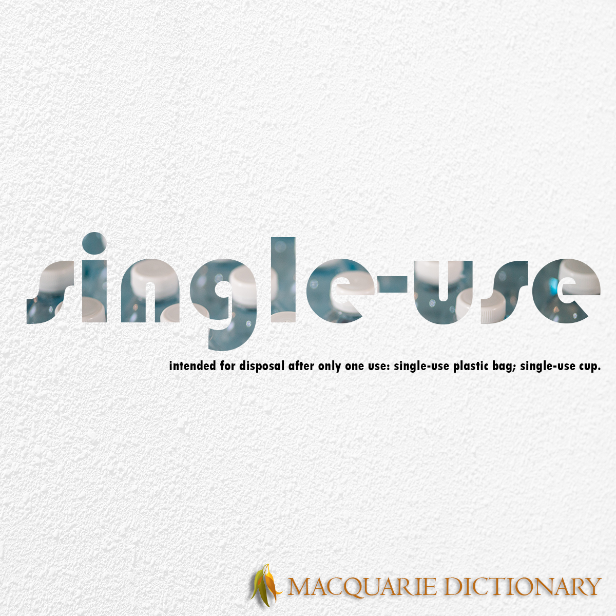 Image of Macquarie Dictionary Word of the Year - single-use - intended for disposal after only one use.